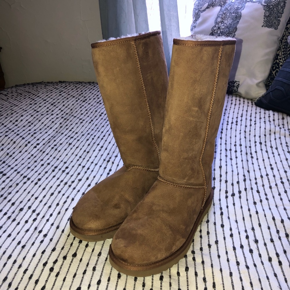 NEW Tall Chestnut Uggs 50% off